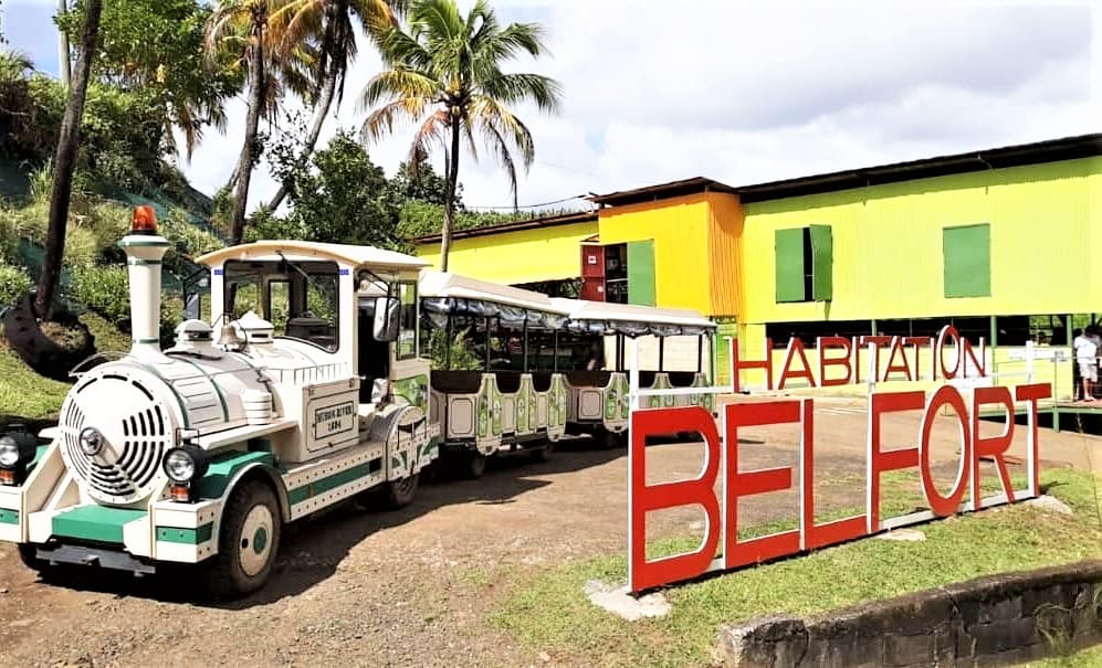 Visite de la bananeraie Habitation Belfort