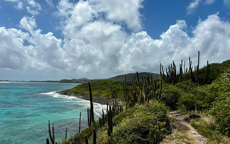 Plage de Macabou