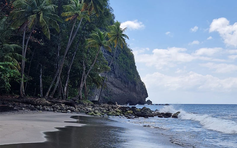 Plage d'Anse Couleuvre