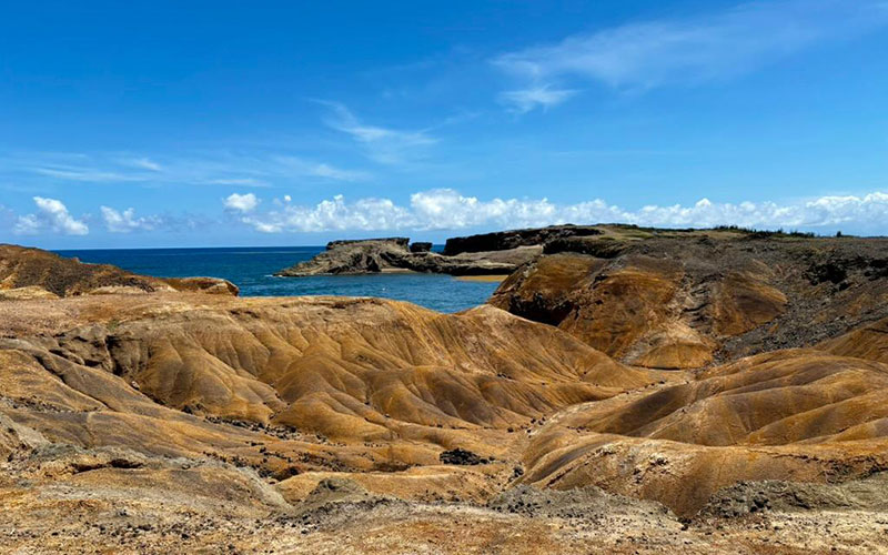 La Savane des pétrifications